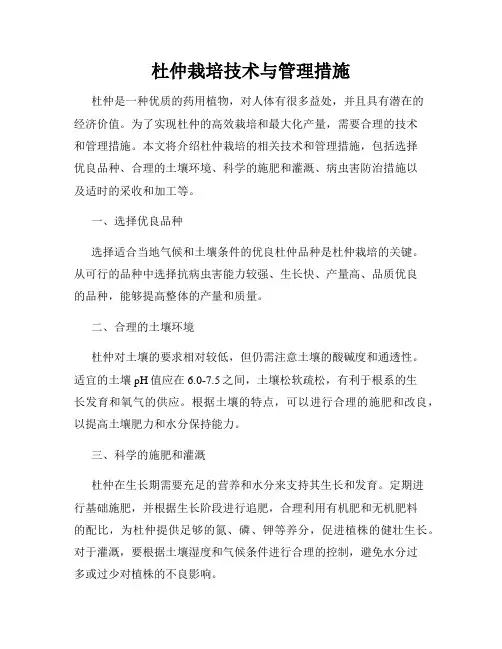 杜仲栽培技术与管理措施