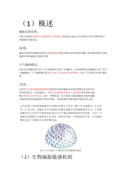 偏振光相关