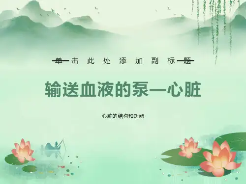 心脏的结构和功能