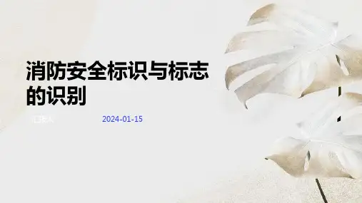 消防安全标识与标志的识别