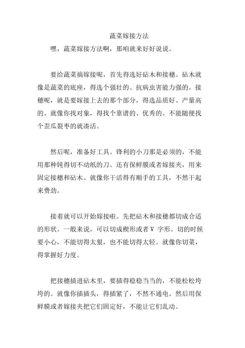蔬菜嫁接方法