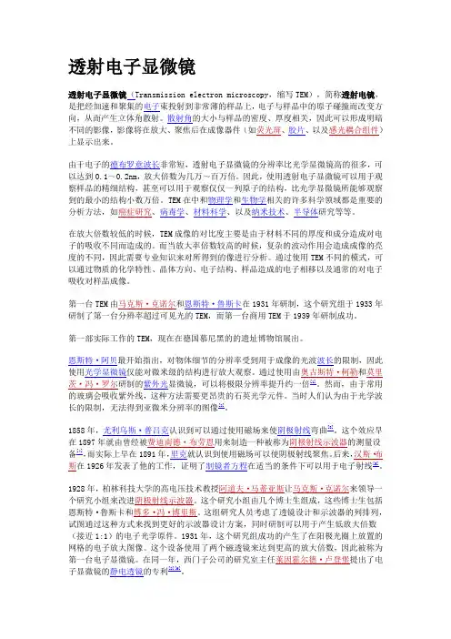 透射电子显微镜