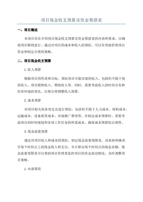 项目现金收支预算及资金筹措表