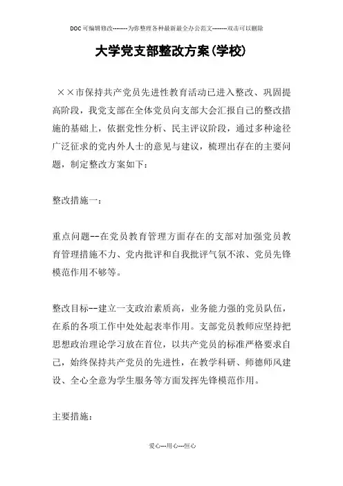 大学党支部整改方案(学校)