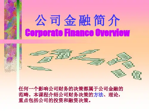 公司金融简介.ppt