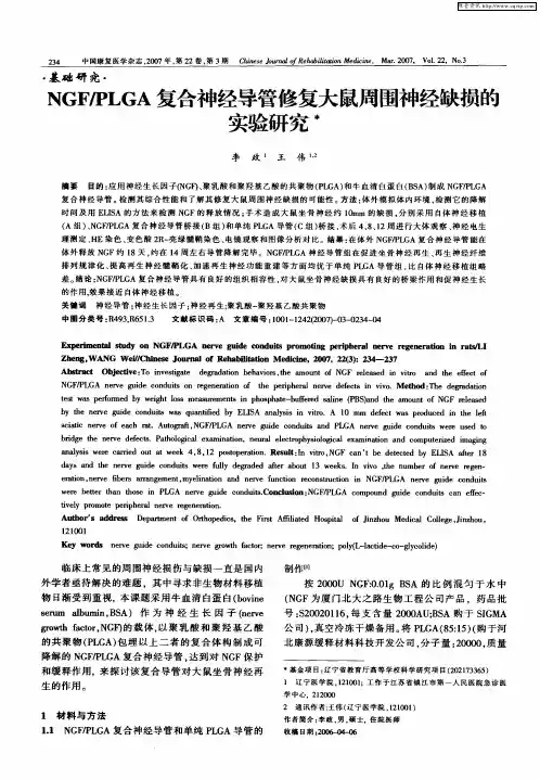 NGF／PLGA复合神经导管修复大鼠周围神经缺损的实验研究