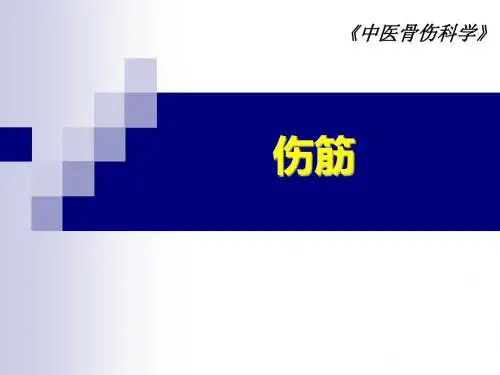 中医骨伤科学 筋伤 PPT课件
