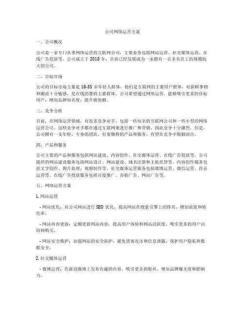 公司网络运营方案