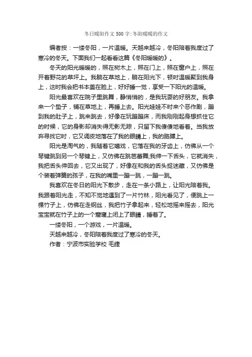 冬日暖阳作文500字：冬阳暖暖的作文_话题作文范文_