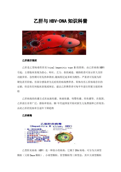 乙肝与HBV-DNA知识科普