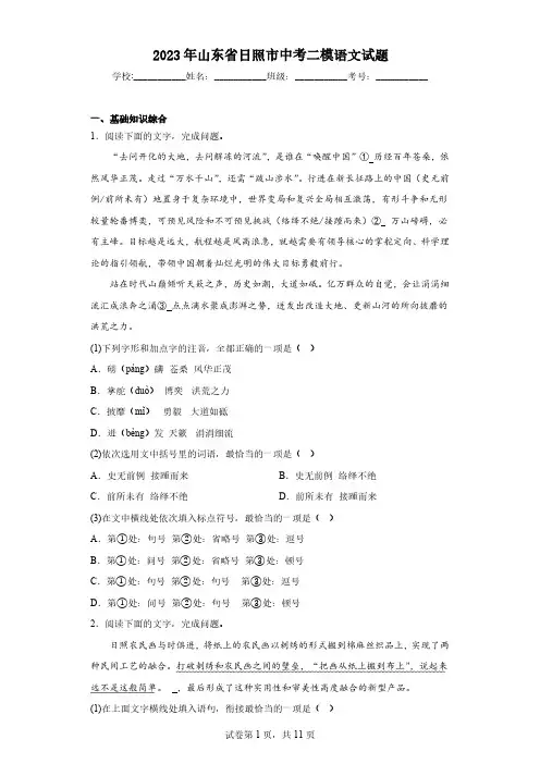 2023年山东省日照市中考二模语文试题(含解析)