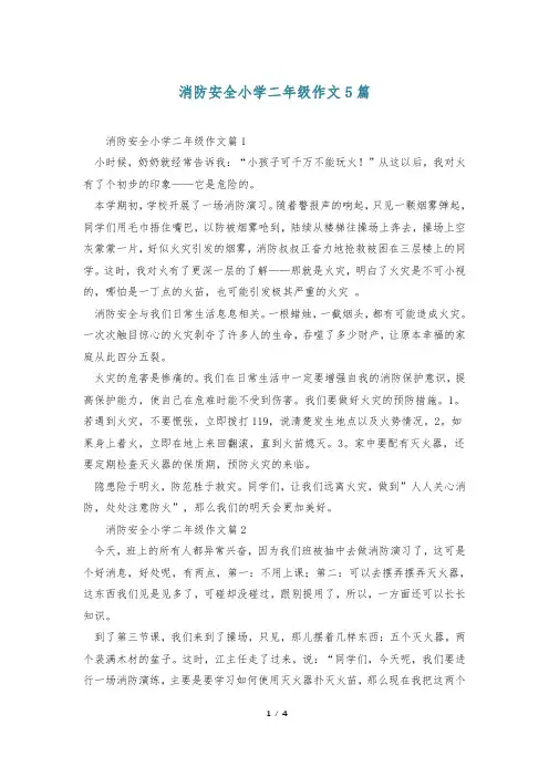 消防安全小学二年级作文5篇