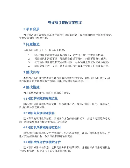 咨询项目整改方案范文
