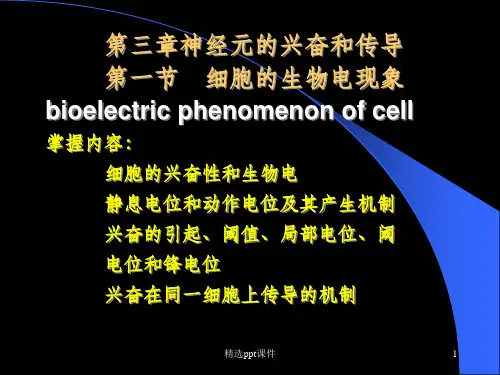 人体及动物生理学-第三章神经元的兴奋和传导ppt课件