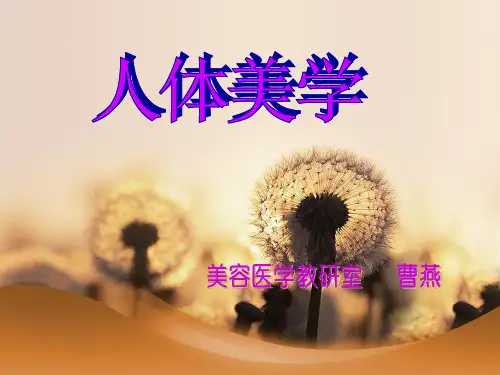 头面轮廓美观测