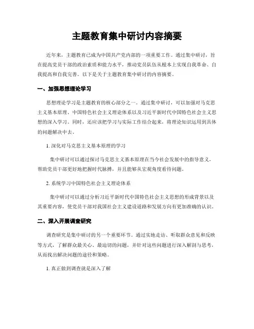 主题教育集中研讨内容摘要