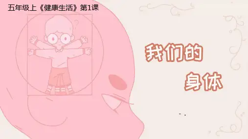 《我们的身体》PPT课件