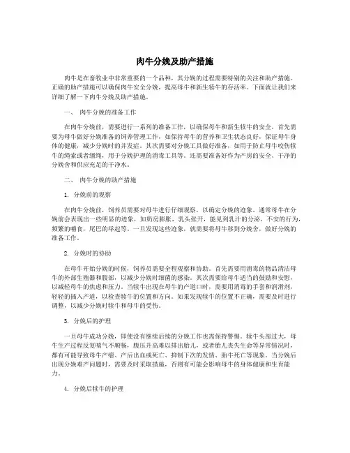 肉牛分娩及助产措施