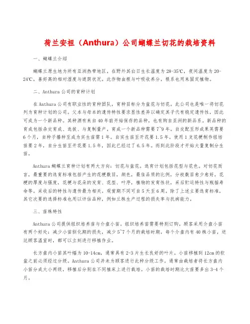 荷兰安祖(Anthura)公司蝴蝶兰切花的栽培资料