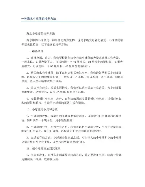 一种海水小球藻的培养方法