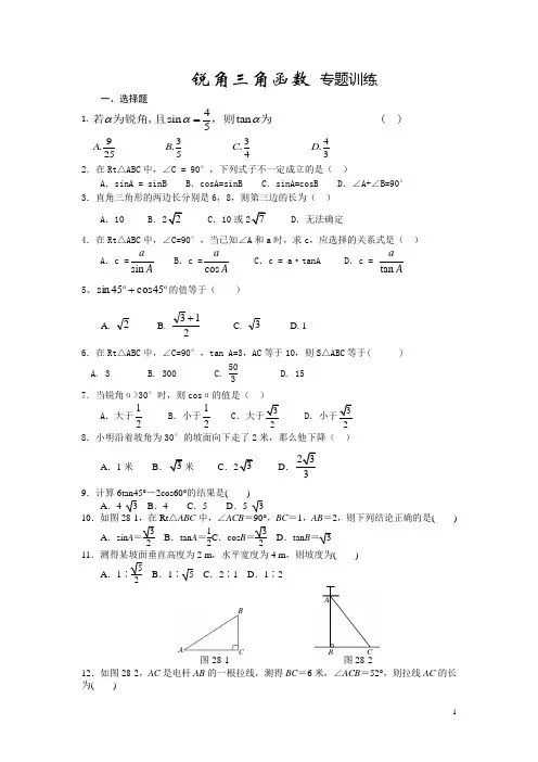 锐角三角函数 专题训练