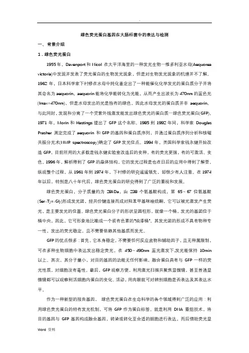 荧光蛋白基因在大肠杆菌中的表达与检测