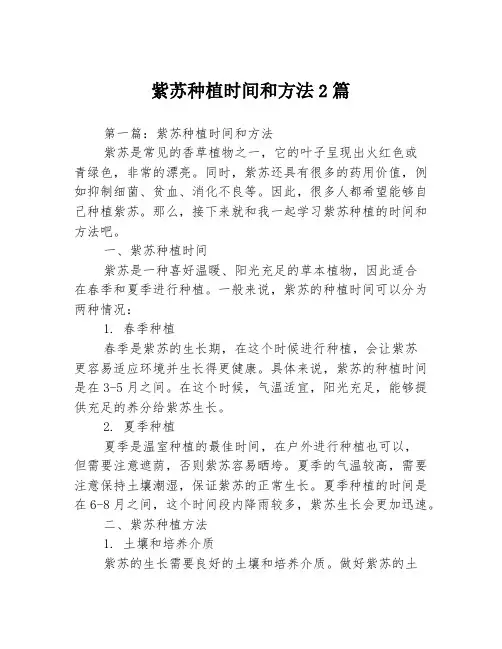 紫苏种植时间和方法2篇