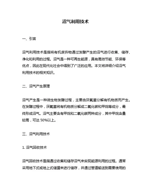 沼气利用技术