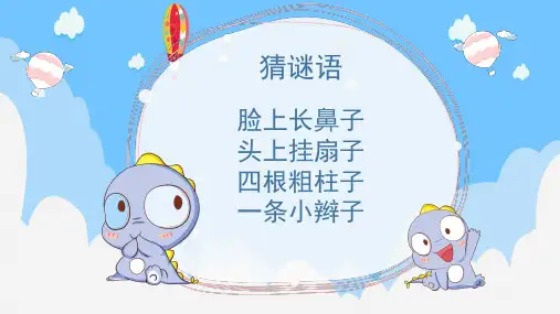 大象介绍ppt