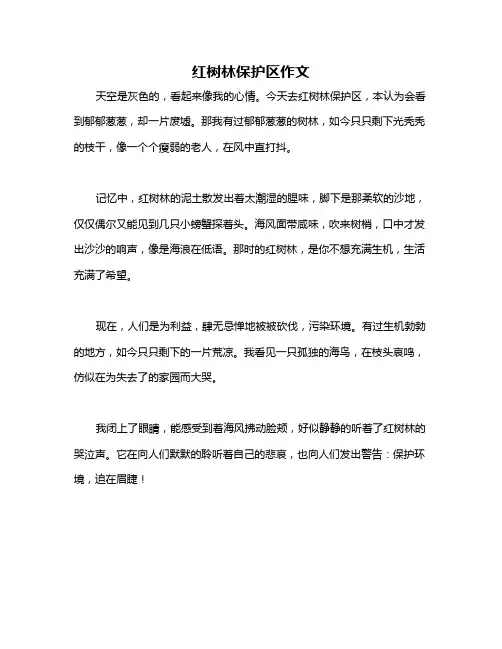 红树林保护区作文
