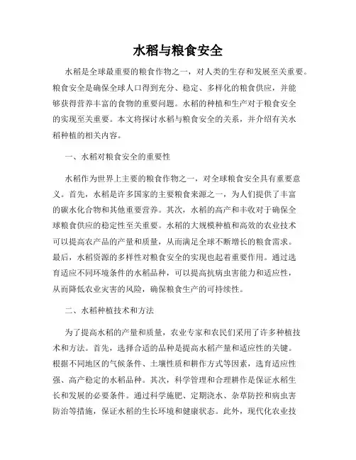 水稻与粮食安全