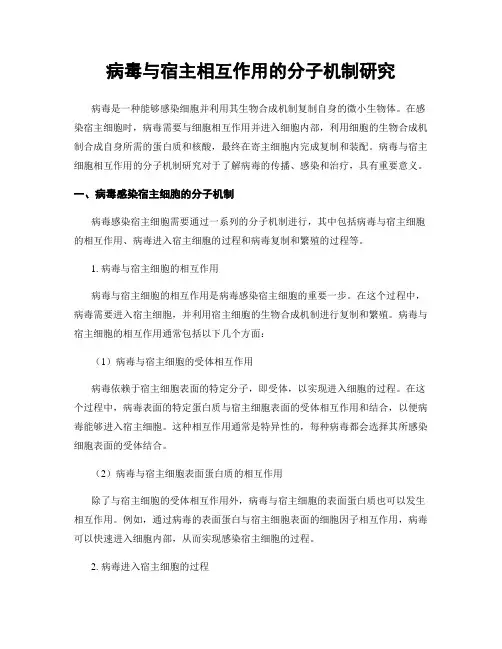 病毒与宿主相互作用的分子机制研究