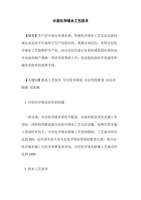 分层化学堵水工艺技术