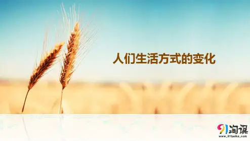课件4：第21课  人们生活方式的变化