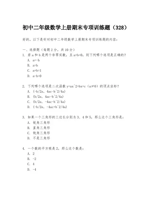 初中二年级数学上册期末专项训练题(328)