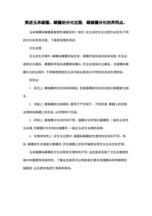 简述玉米雄穗、雌穗的分化过程, 雌雄穗分化的异同点。