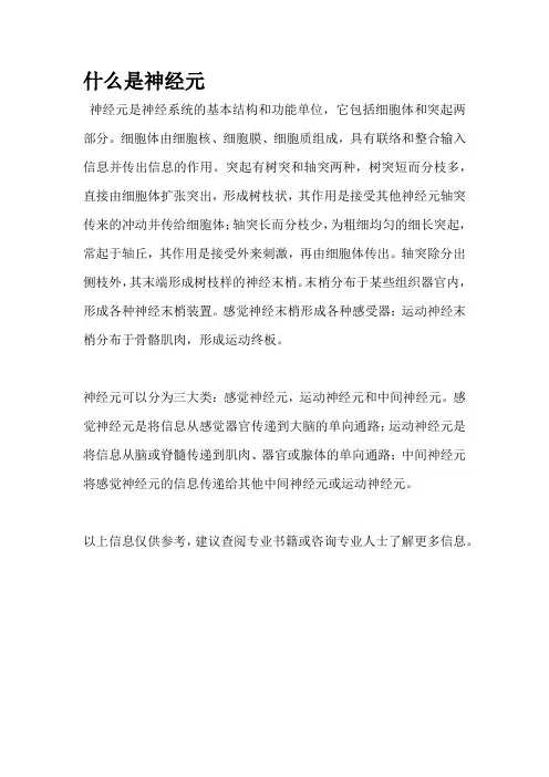 什么是神经元