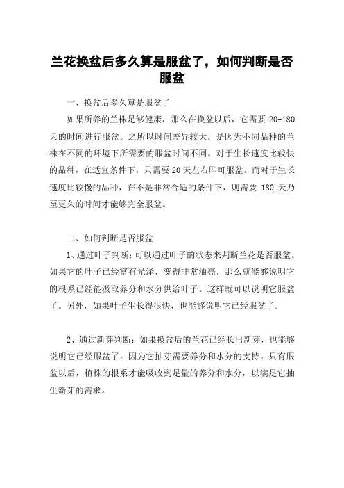 兰花换盆后多久算是服盆了,如何判断是否服盆