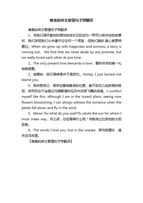 唯美的英文爱情句子带翻译