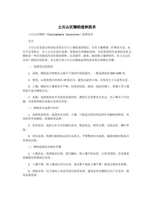 土石山区侧柏造林技术