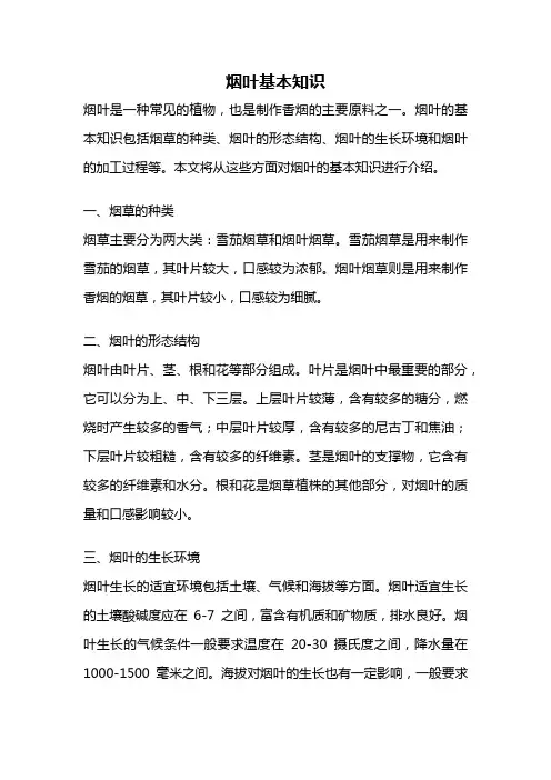 烟叶基本知识