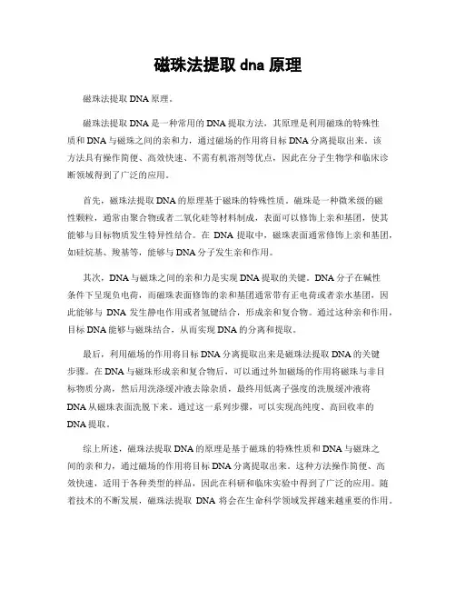磁珠法提取dna原理