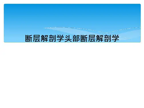 断层解剖学头部断层解剖学