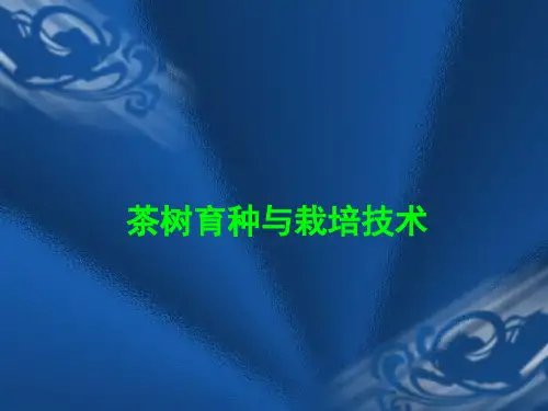 茶树育种与栽培技术