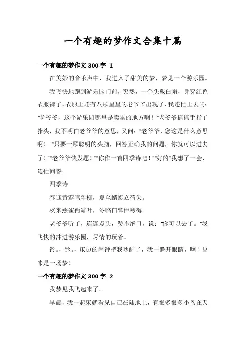 一个有趣的梦作文合集十篇