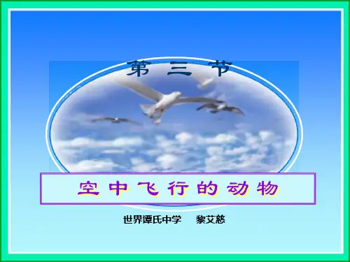 豪华版《空中飞行的动物》绝对原创说课课件