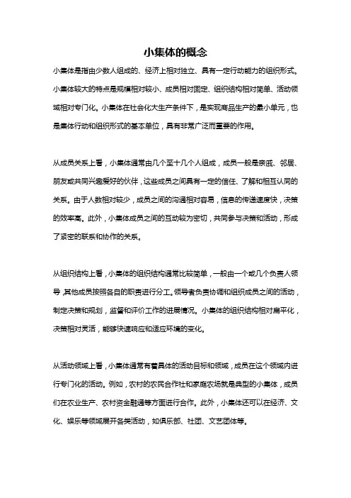 小集体的概念