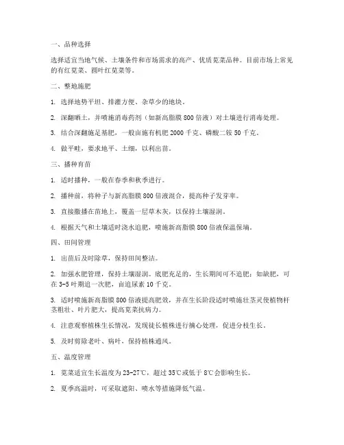 苋菜的种植管理技术
