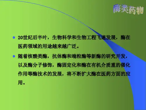 第13章 酶类药物