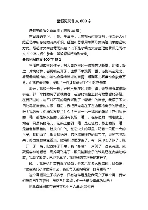 暑假见闻作文600字